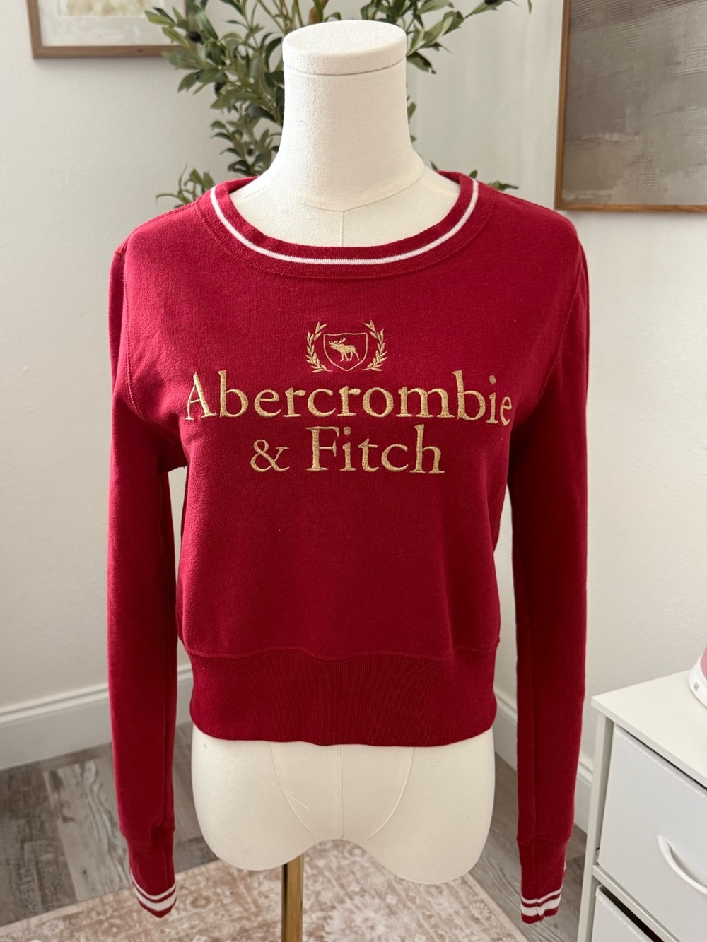 Abercrombie & Fitch Red Embroidered Logo Cropped Crewneck Sweatshirt S - Picture 1 of 8